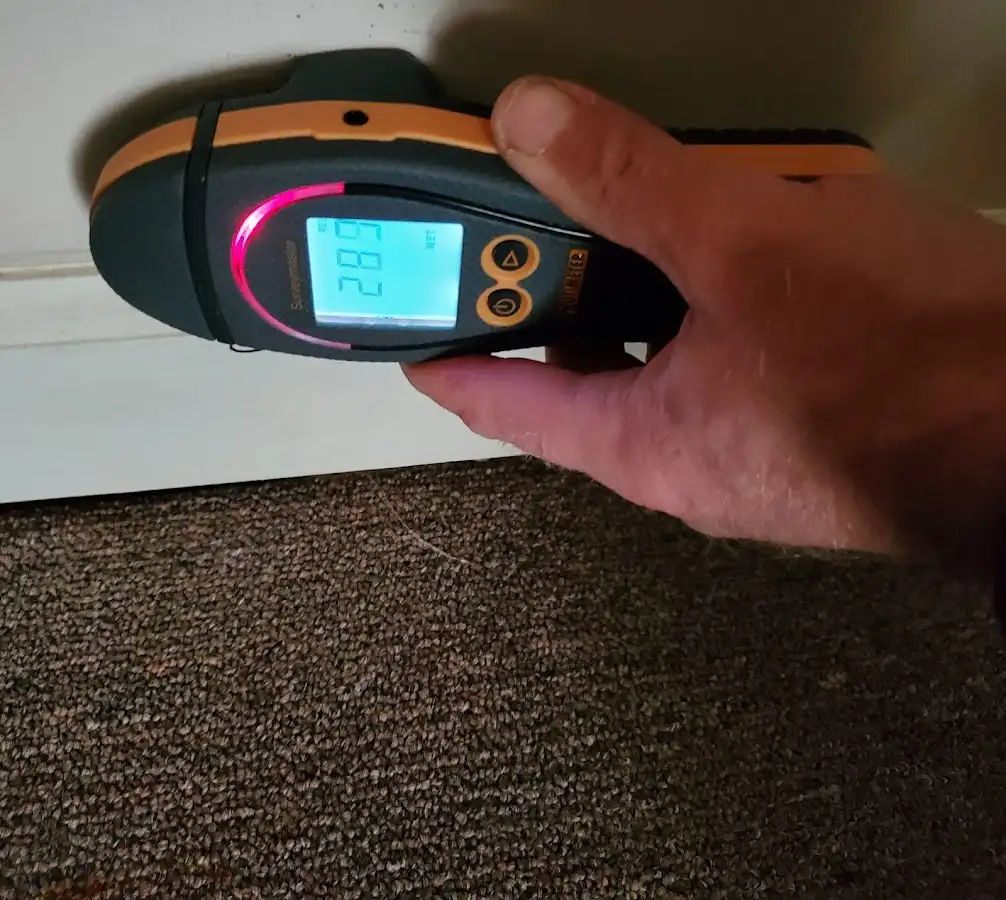 Moisture detection at baseboard during Sewage Cleanup & Sanitation in Groveland